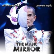 the mask mirror 