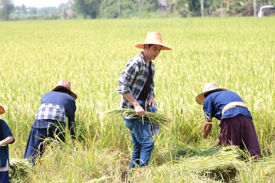 สุภาพบุรุษชาวดิน