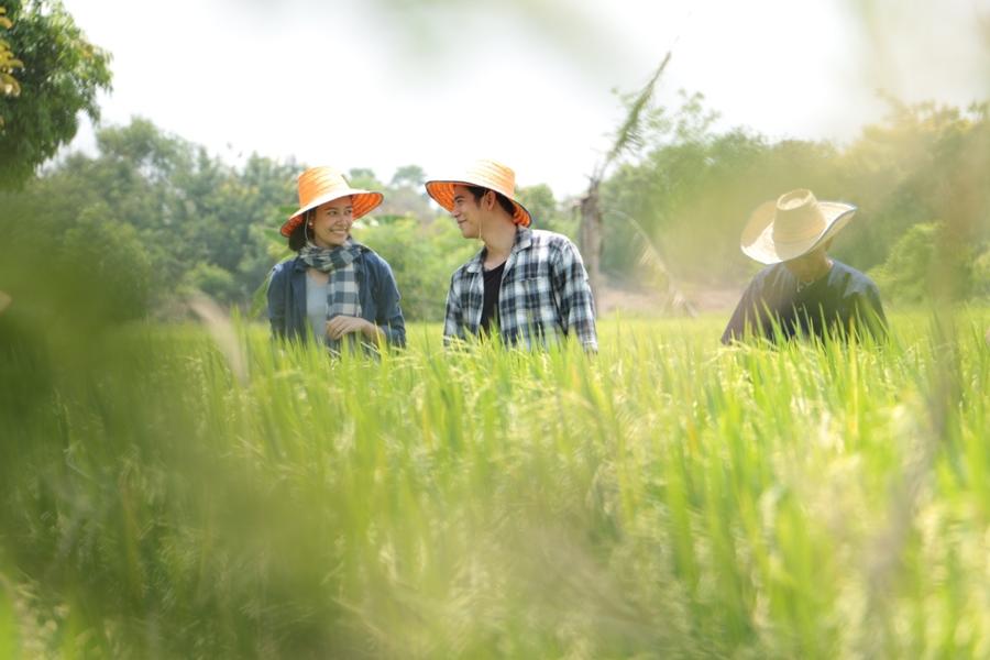 สุภาพบุรุษชาวดิน