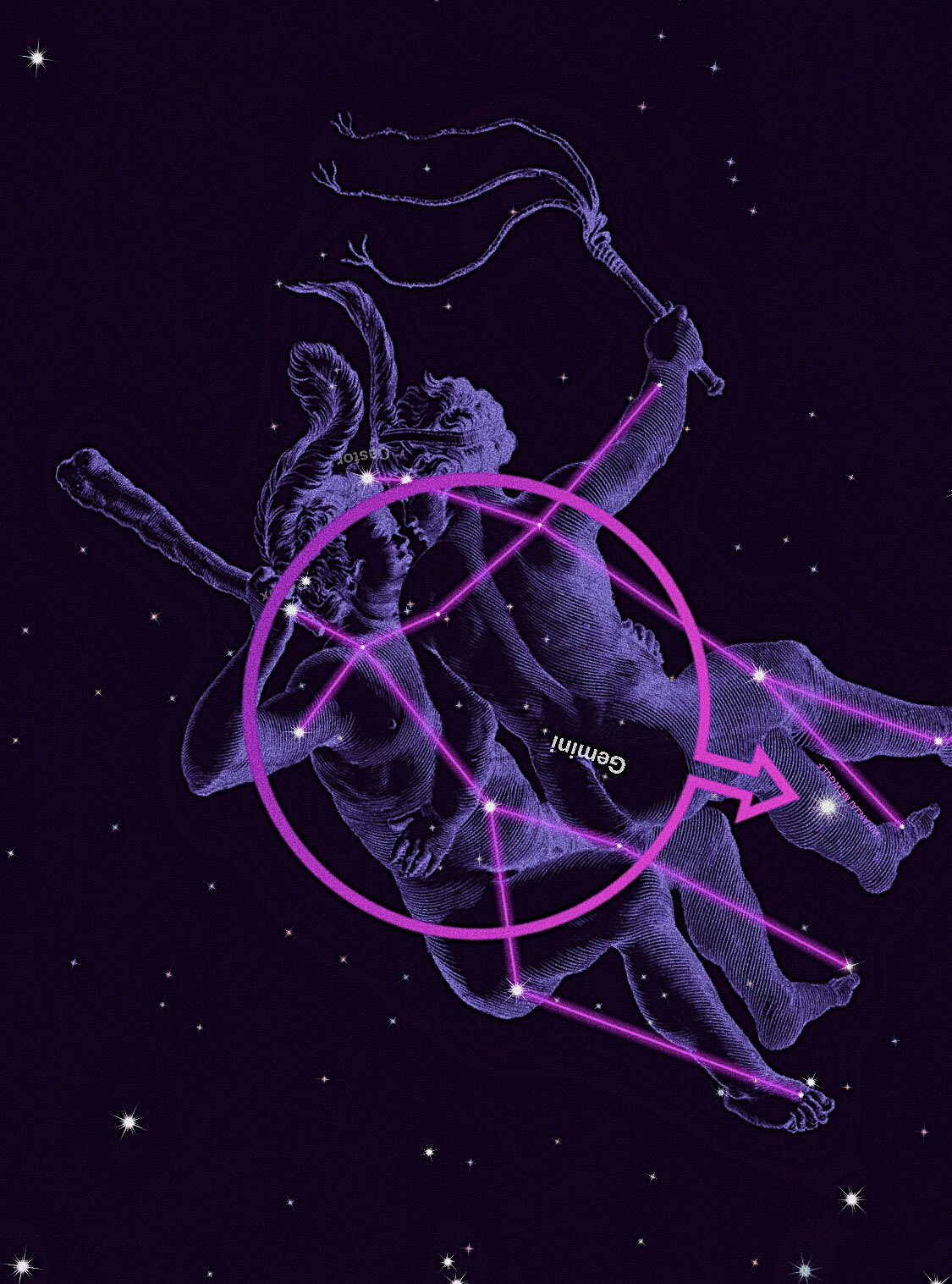 มิว-กลัฟ ดาว