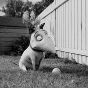 ทิม เบอร์ตัน ส่งภาพชุดแรก Frankenweenie ยั่วน้ำลายแฟนๆ