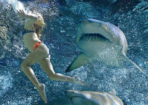 Shark Night 3D โหด มันส์ สะใจ คอหนัง 3 มิติ