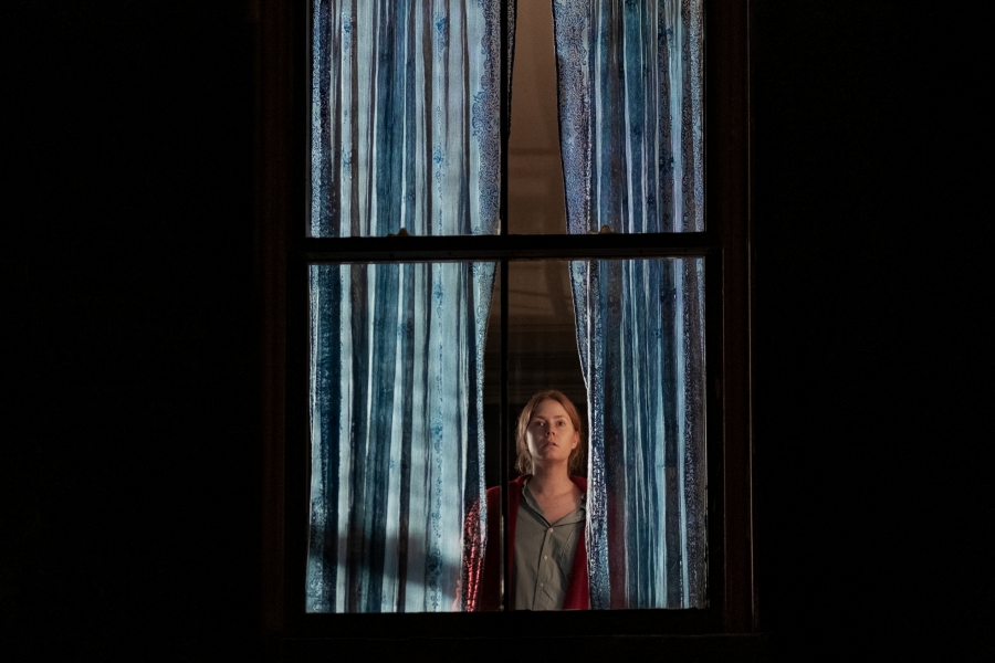 The Woman in the Window