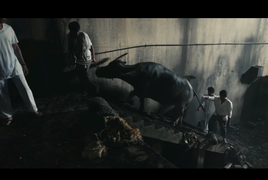 ร่างทรง the medium