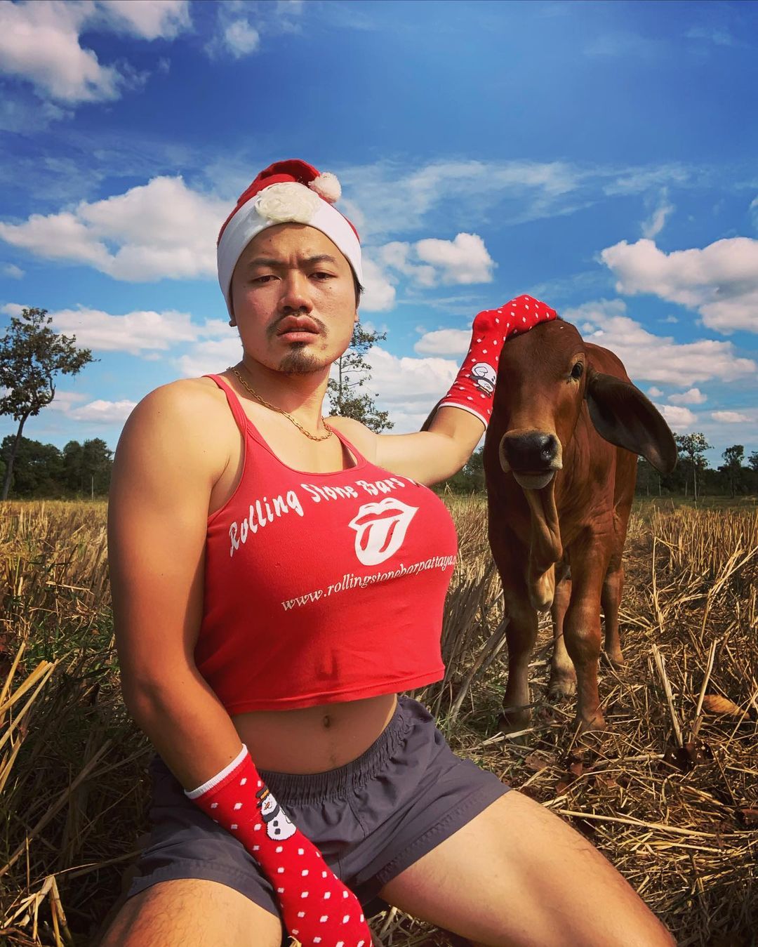 พีทพานามา