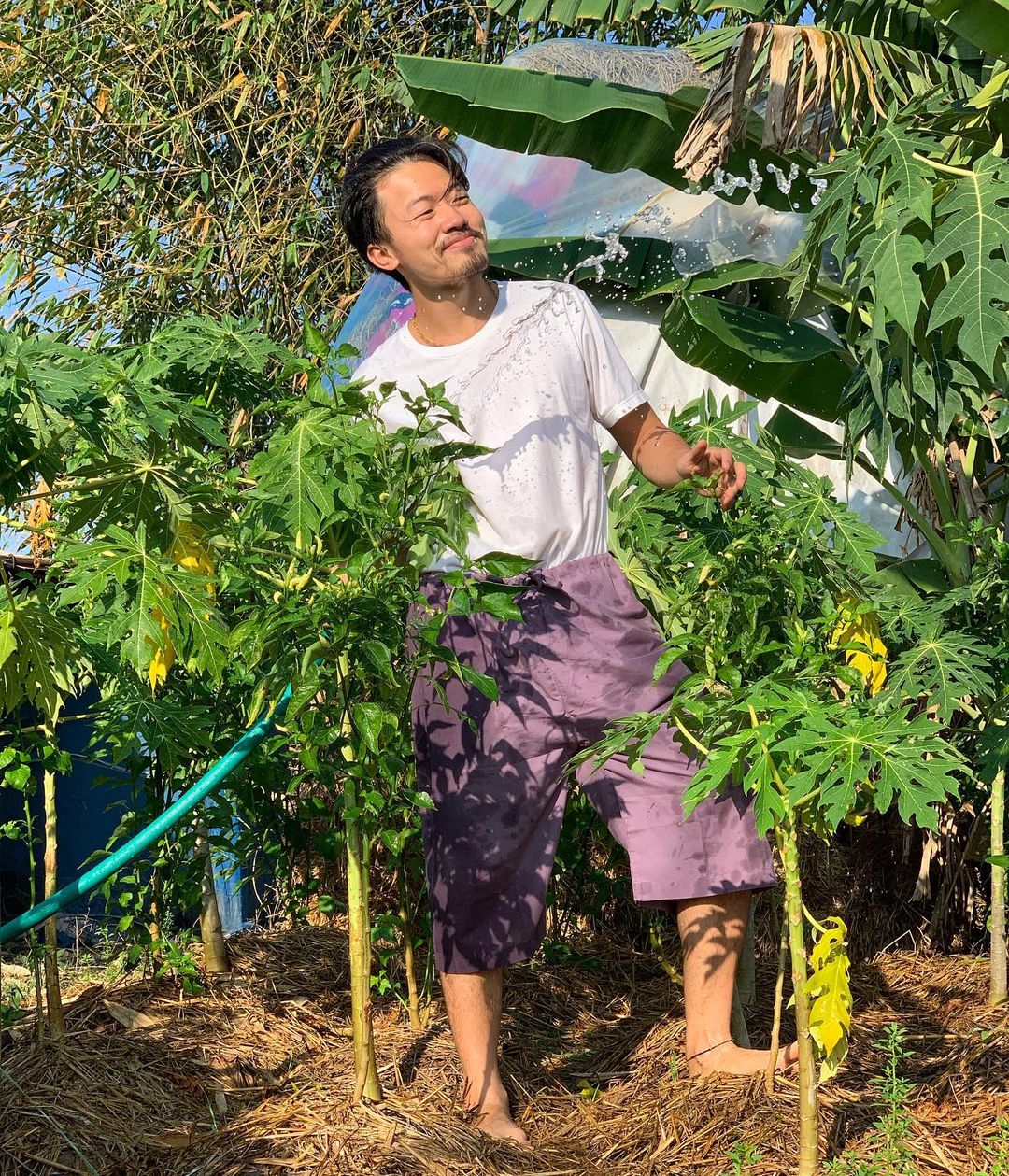 พีทพานามา