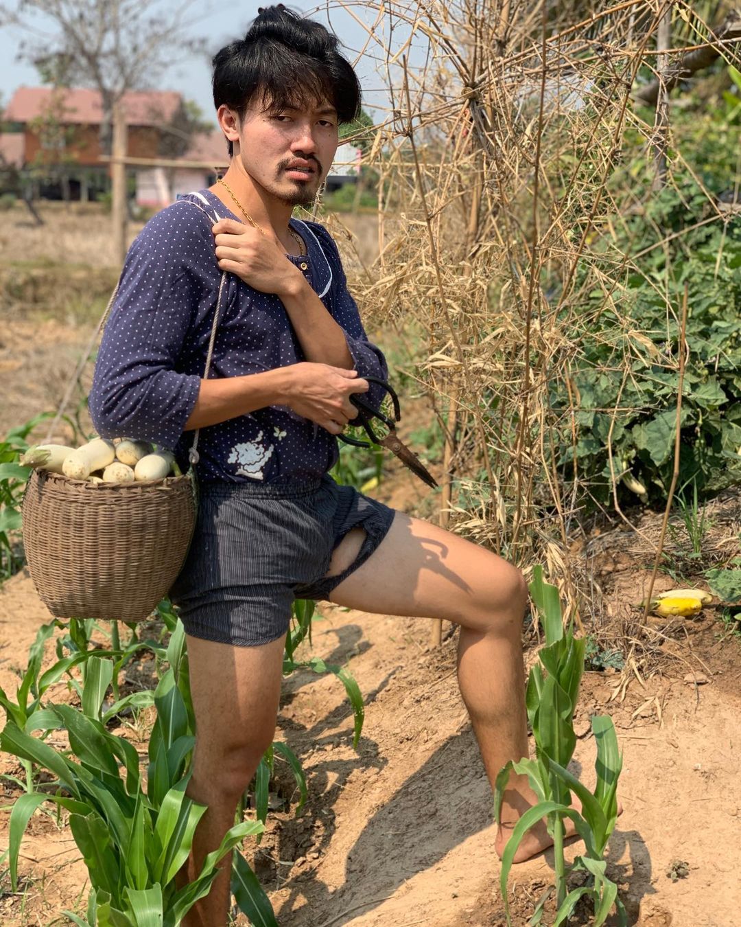 พีทพานามา