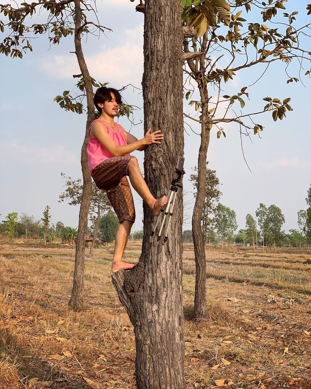 พีทพานามา