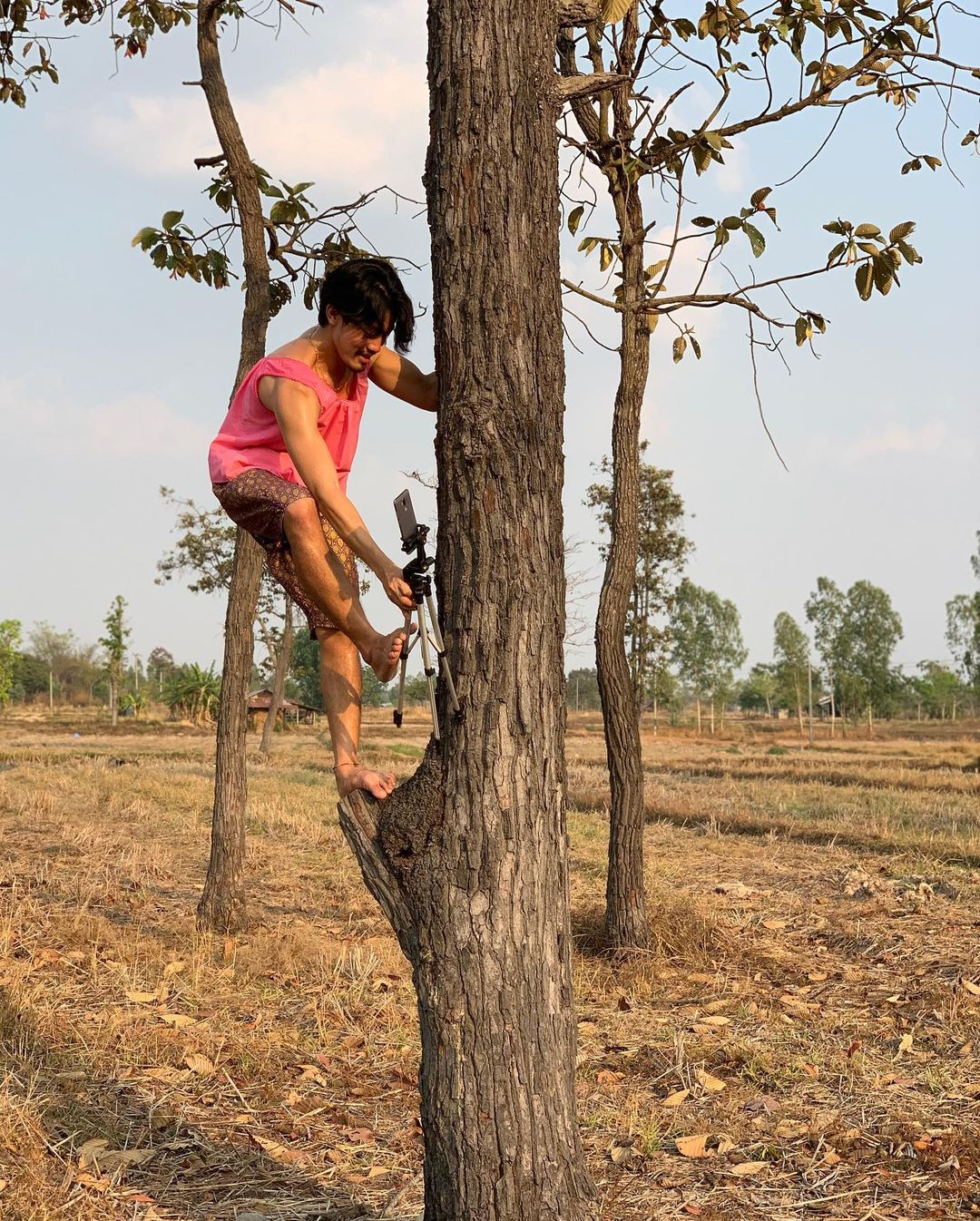 พีทพานามา