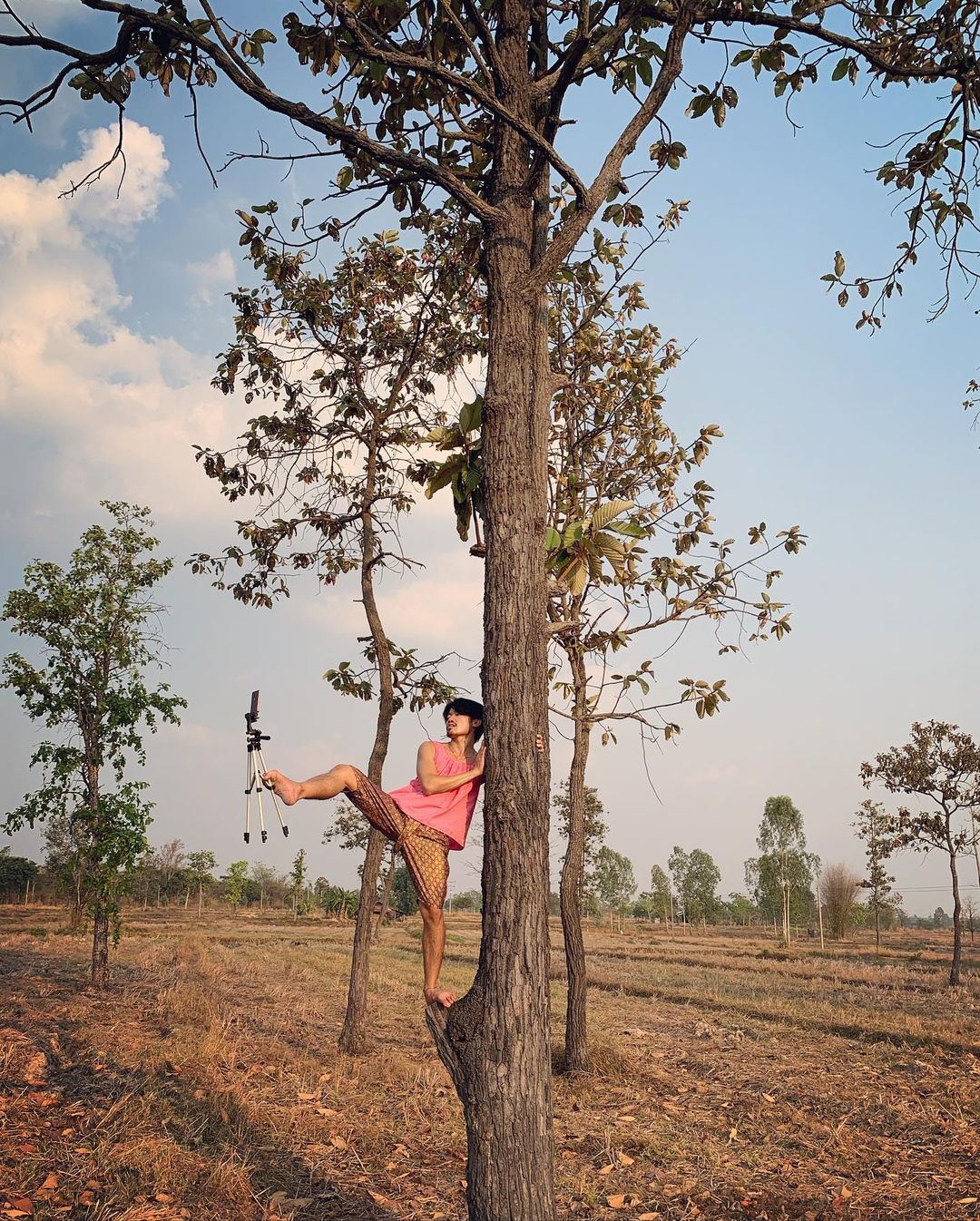 พีทพานามา