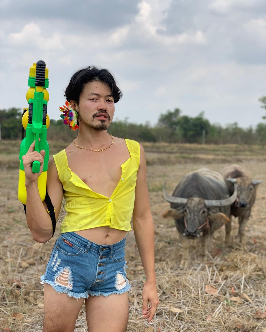 พีทพานามา