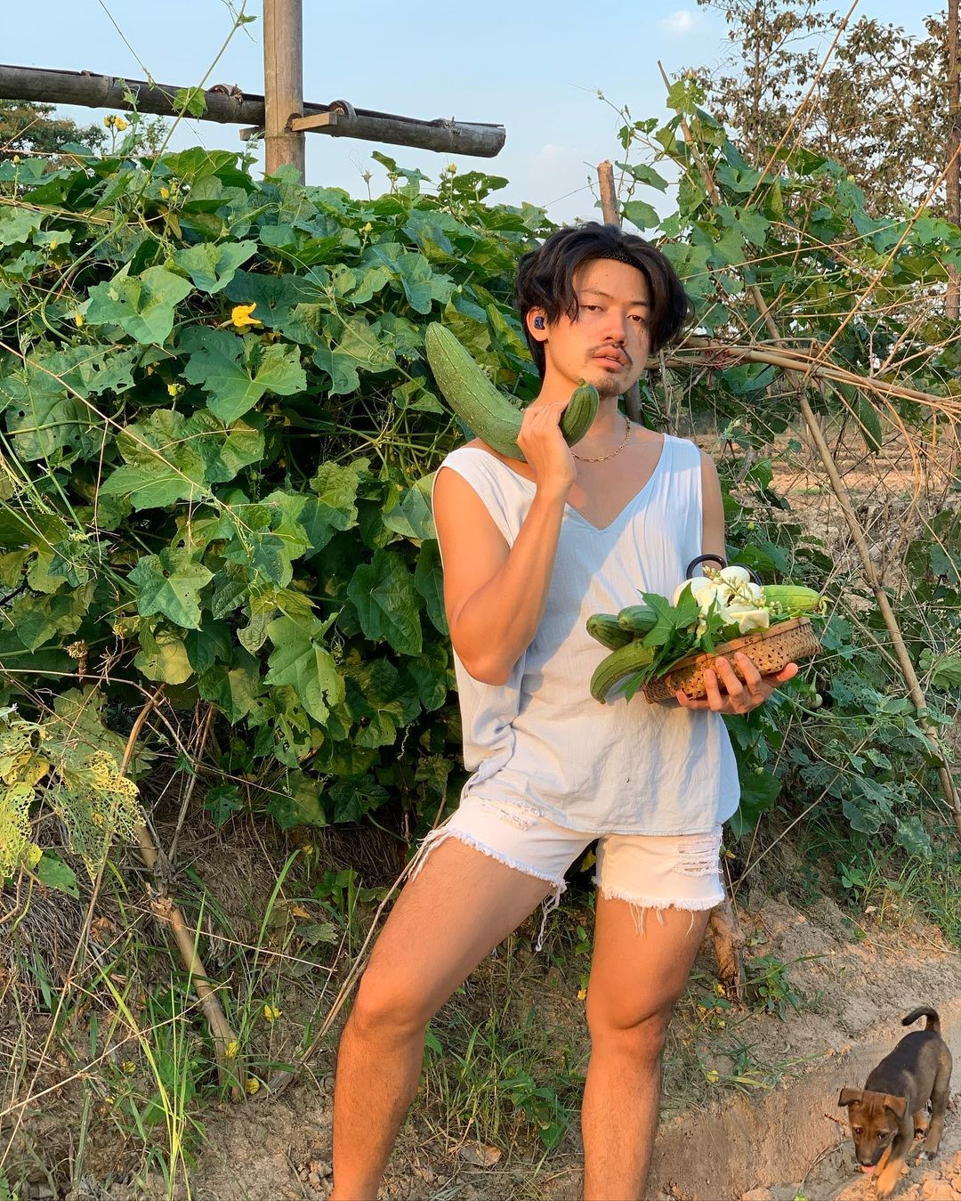 พีทพานามา