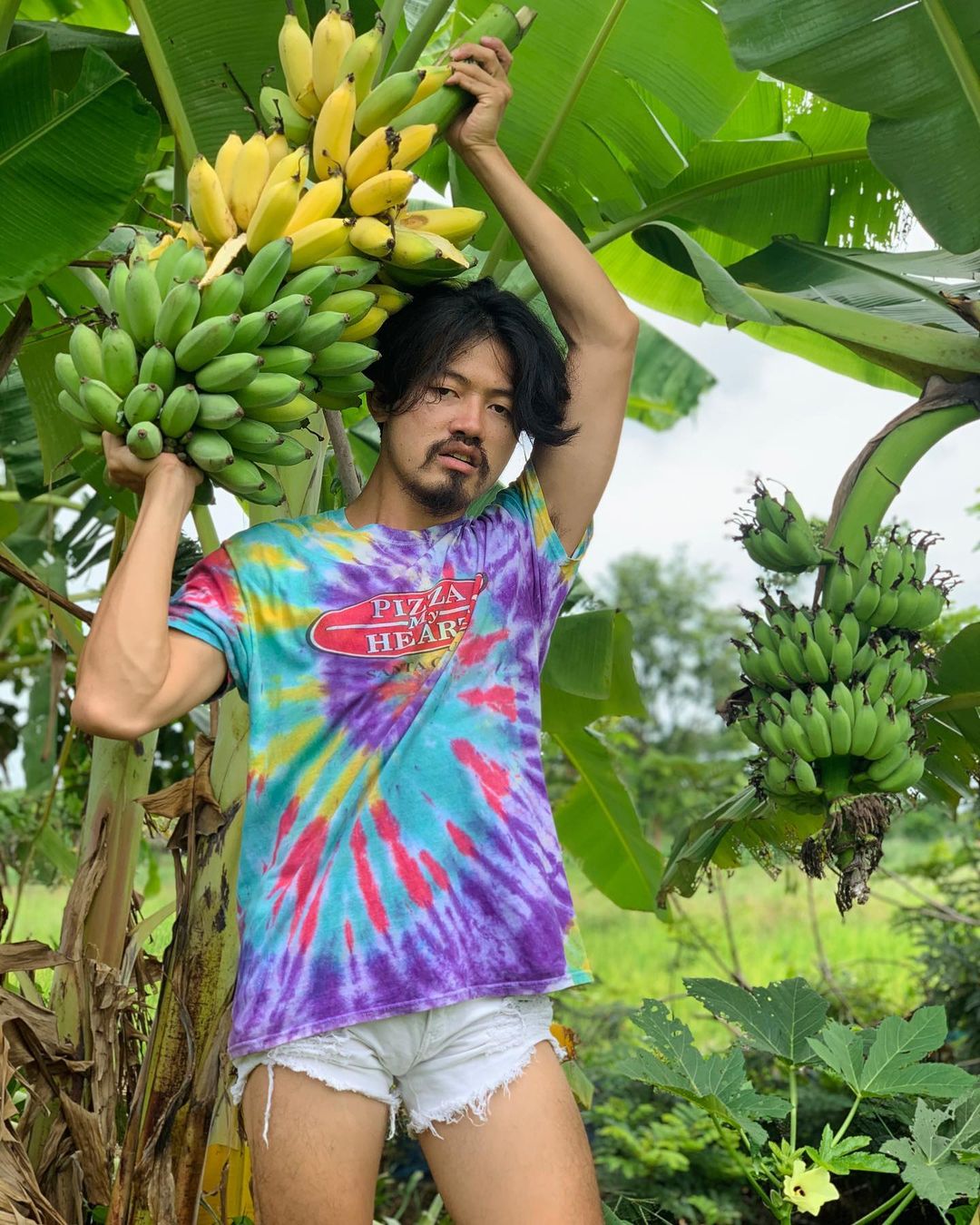 พีทพานามา