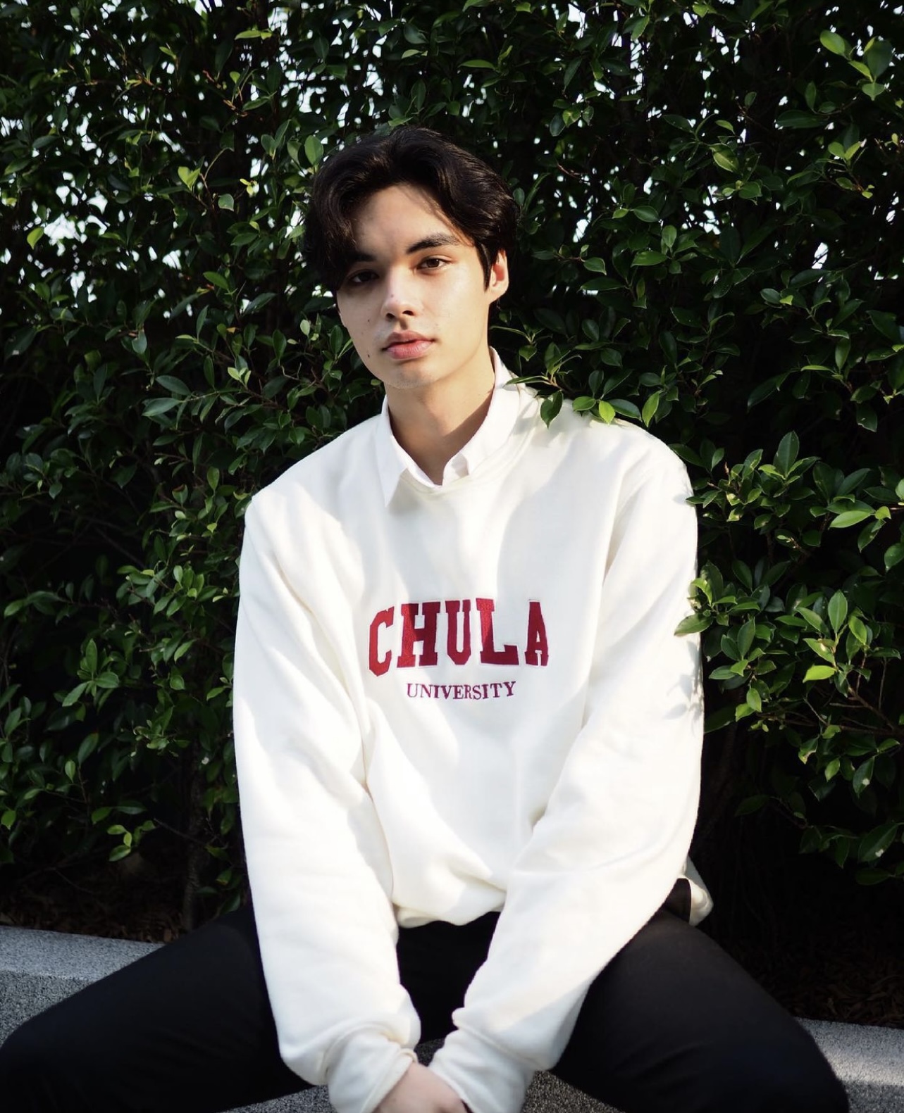 Meow Ears up น้องเหมียวในห้องผม