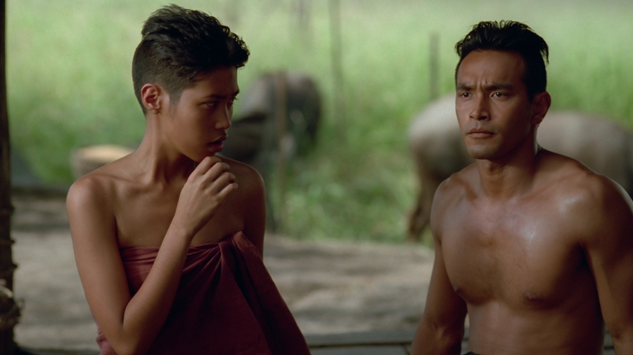 NETFLIX รามา