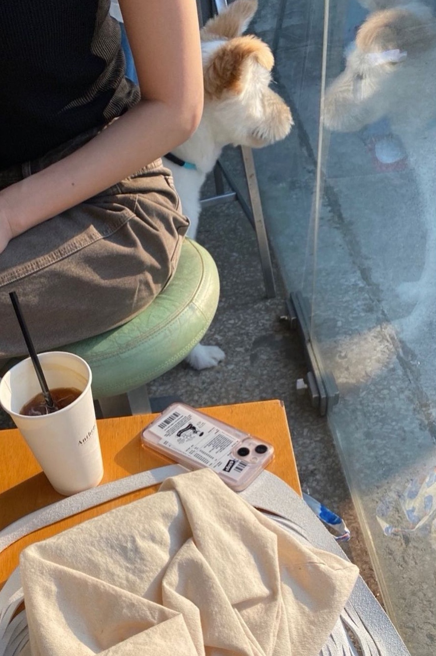  วอล สุนัขของ คิมโกอึน