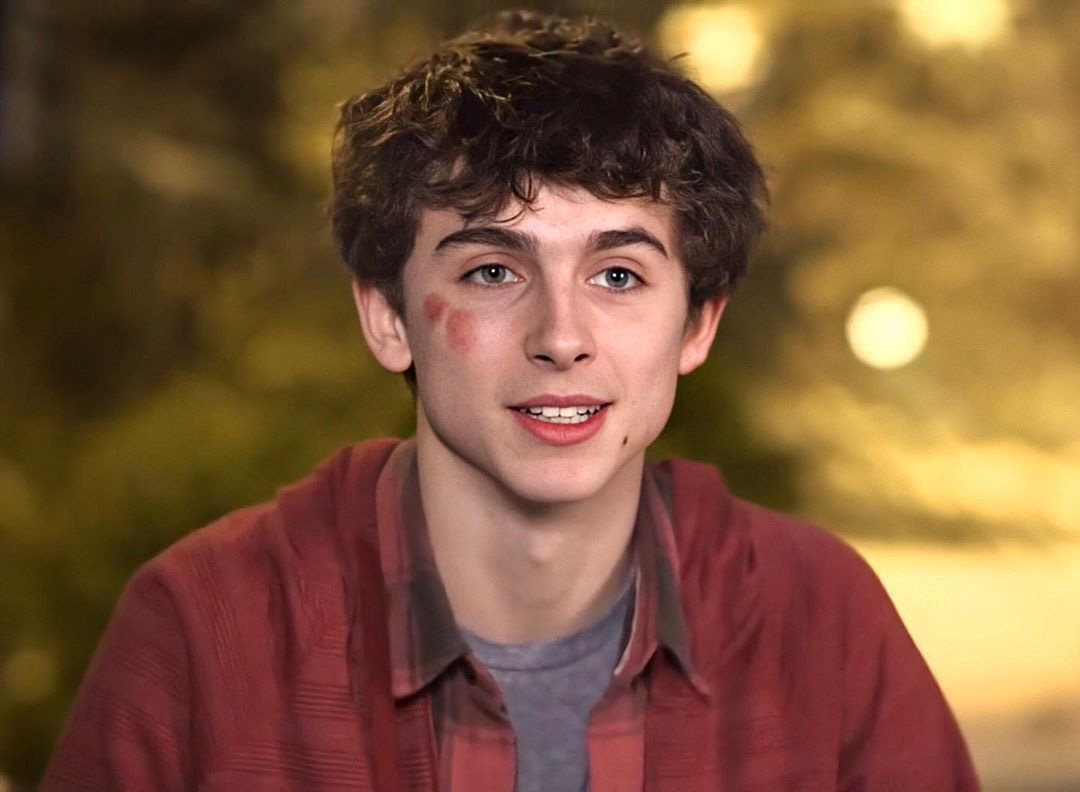 Timothée Chalamet