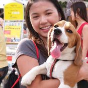 งานสวนสนุก "Dog Fun Park"