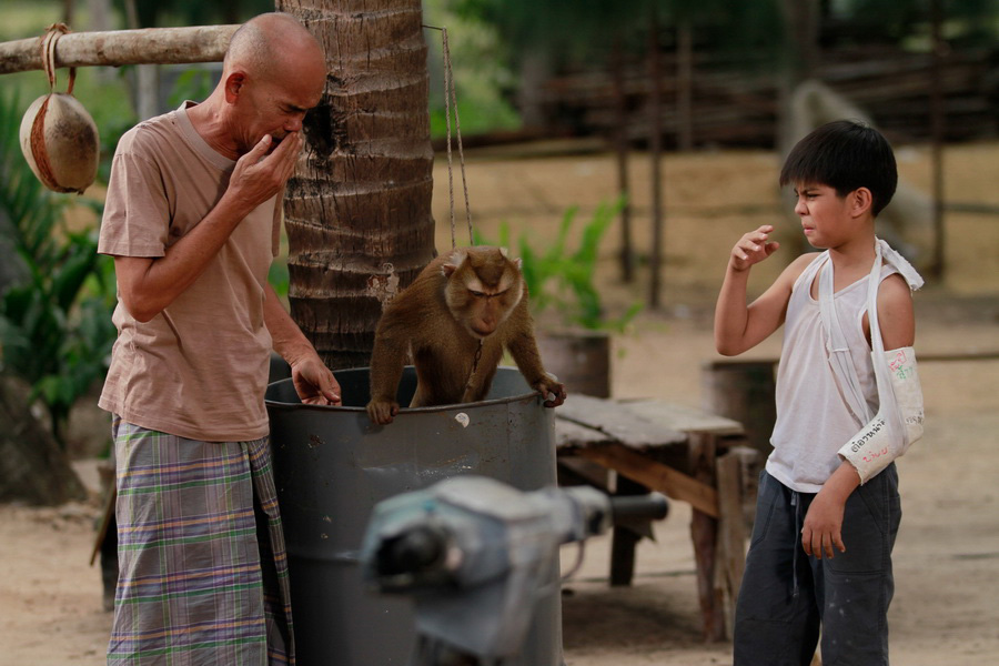 ซีนน่ารัก! ลิงแสบล่อยก๊าซไข่เน่าใส่ ริชาร์ด