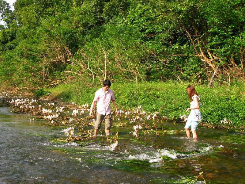 แพท นำทีมสายลับฯ บุกพลับพลึงธาร จ.ระนอง