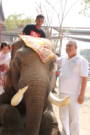 ทีมงานก้านกล้วย เลี้ยงอาหารช้าง ระลึกถึงบุญคุณ