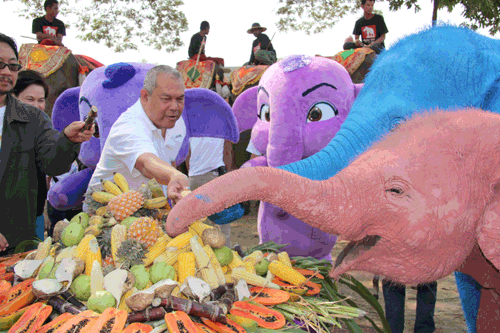 ทีมงานก้านกล้วย เลี้ยงอาหารช้าง ระลึกถึงบุญคุณ