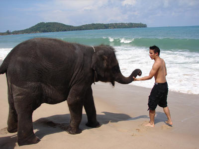 ดอม ควงคู่ น้องแอนนา เล่นน้ำทะเลที่ภูเก็ต
พร้อมเจาะเบื้องหลัง Superman Returns