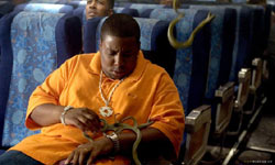 วิจารณ์หนัง: SNAKES ON A PLANE