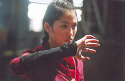 วิจารณ์หนัง: มนุษย์เหล็กไหล