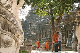 วิจารณ์หนัง The Elephant King