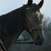 หนัง War Horse