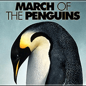 MARCH OF THE PENGUINS