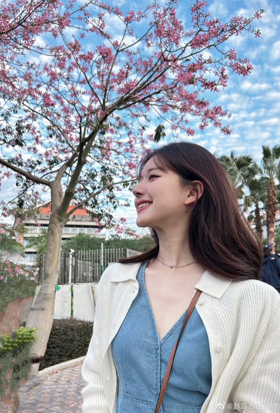 จ้าวลู่ซือ เล่นสงกรานต์ที่ไทย