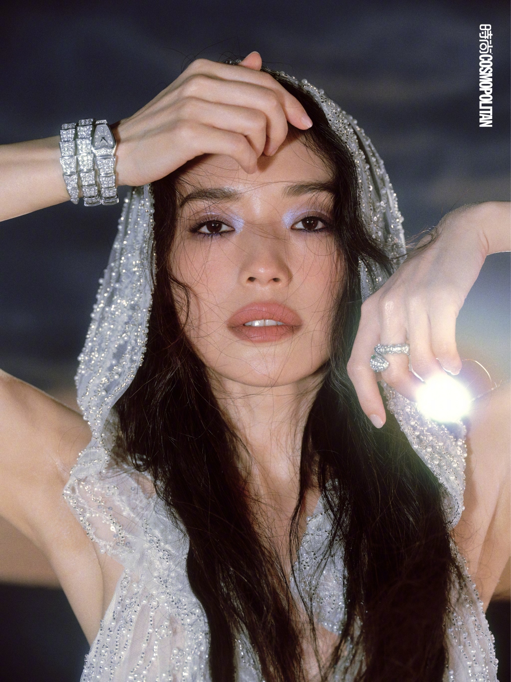 ซูฉี (Shu Qi)