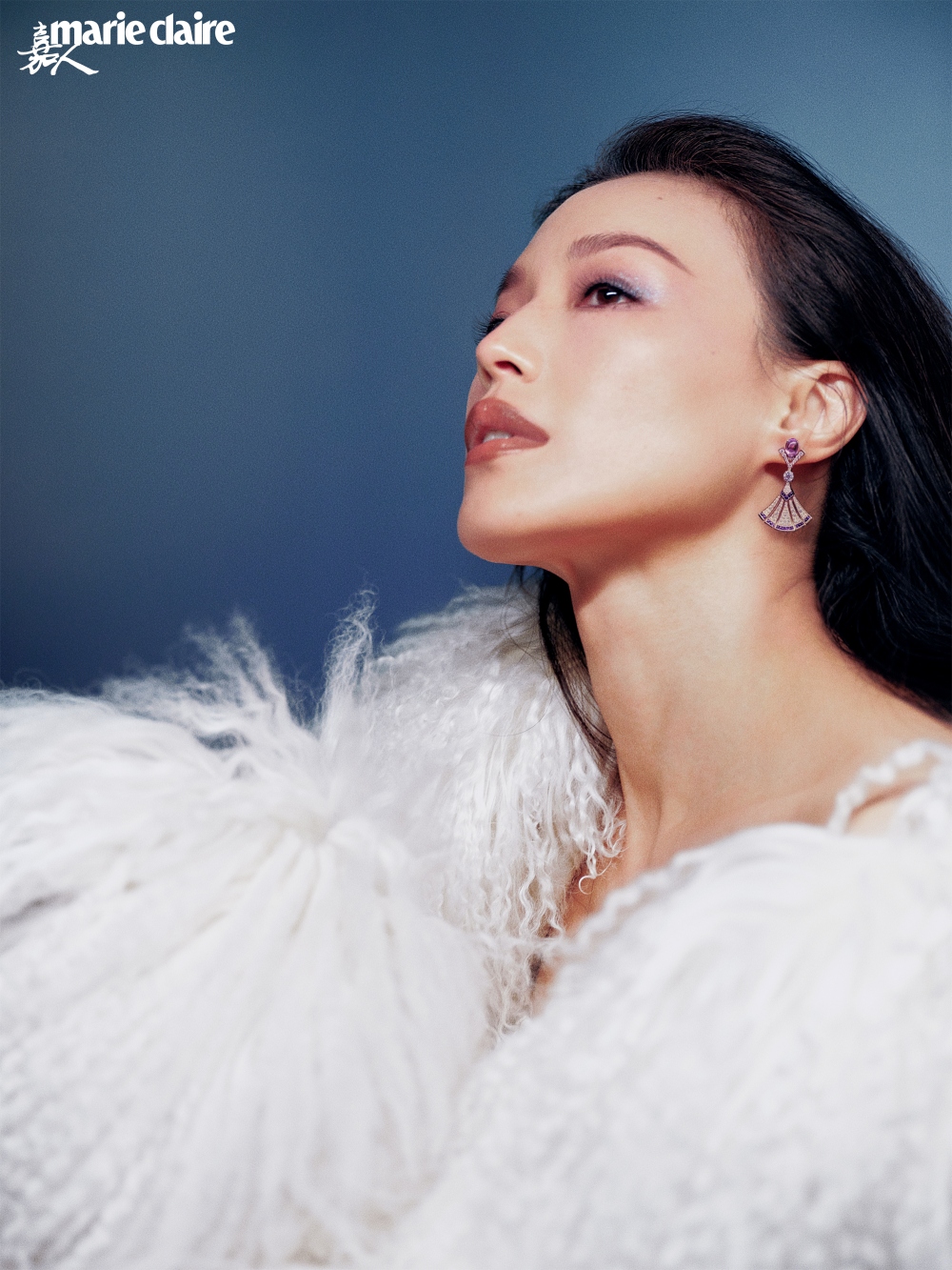 ซูฉี (Shu Qi)