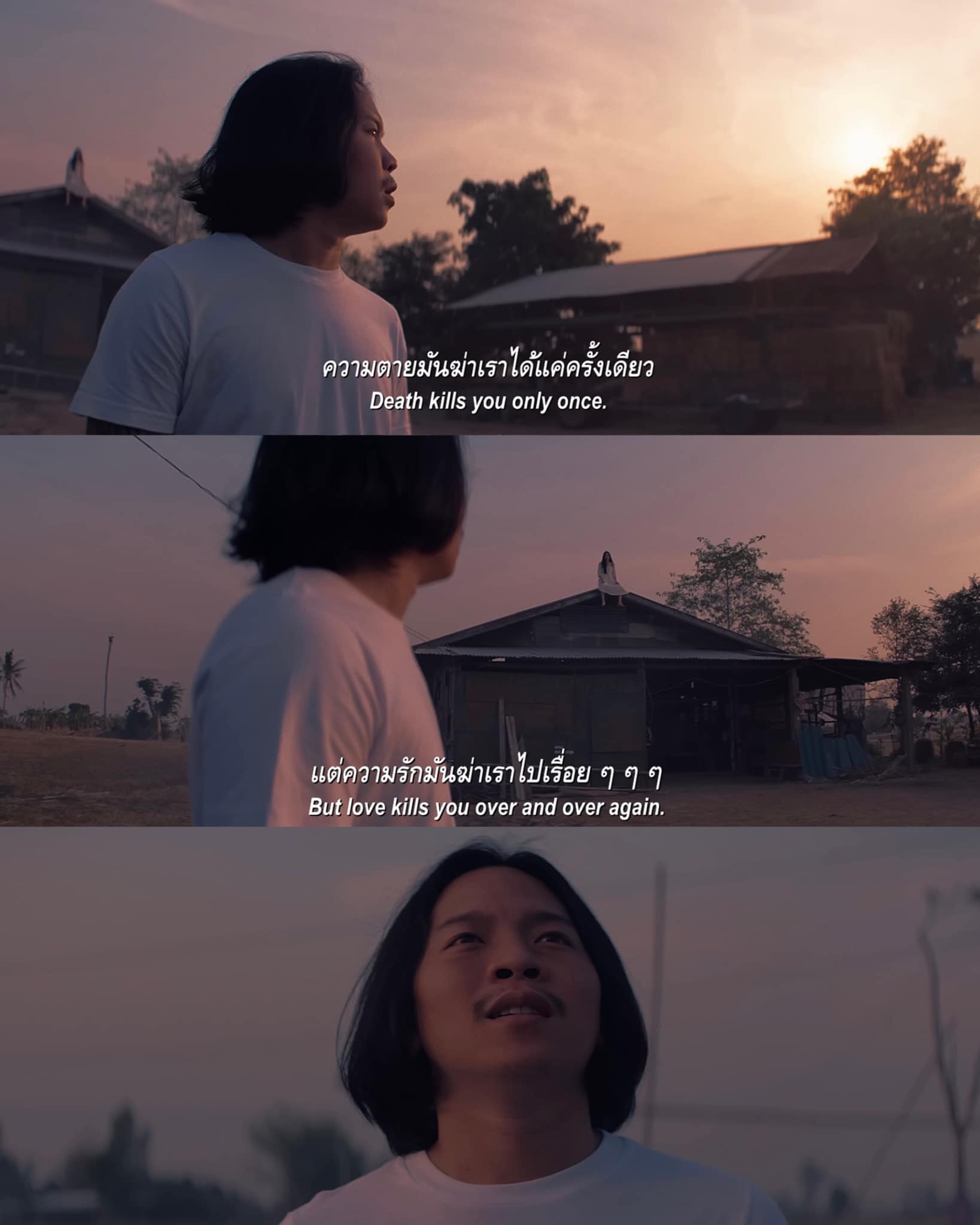 สัปเหร่อ รายได้ล่าสุด