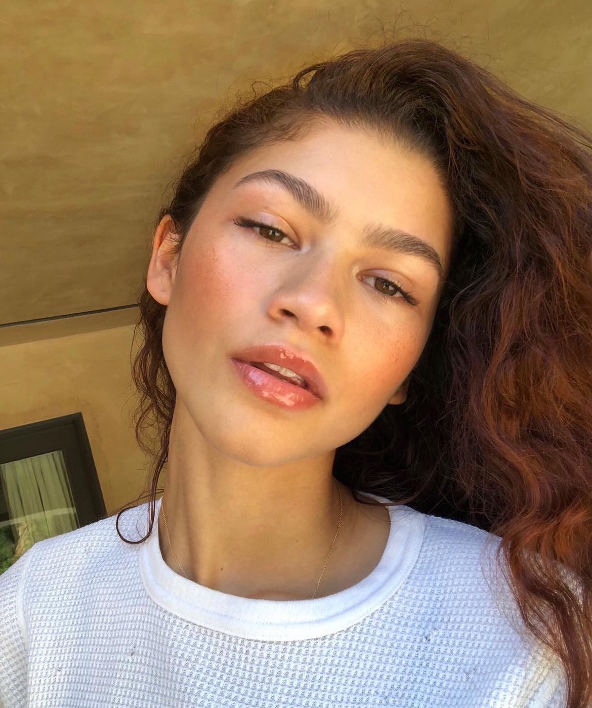 ประวัติ Zendaya (เซนเดย์อา) จากดาวดิสนีย์สู่ซูเปอร์สตาร์ฮอลลีวูด