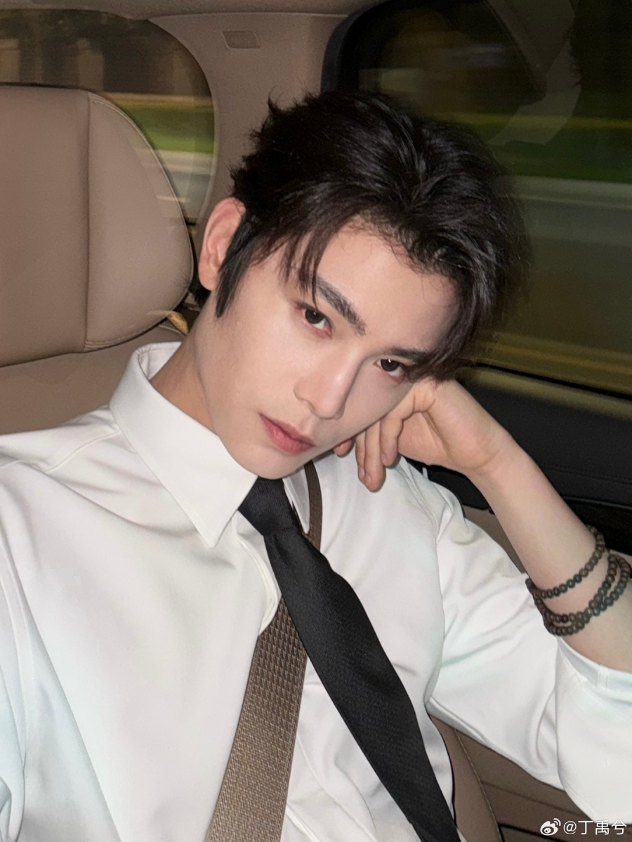 ติงอวี่ซี ประวัติ ผลงาน