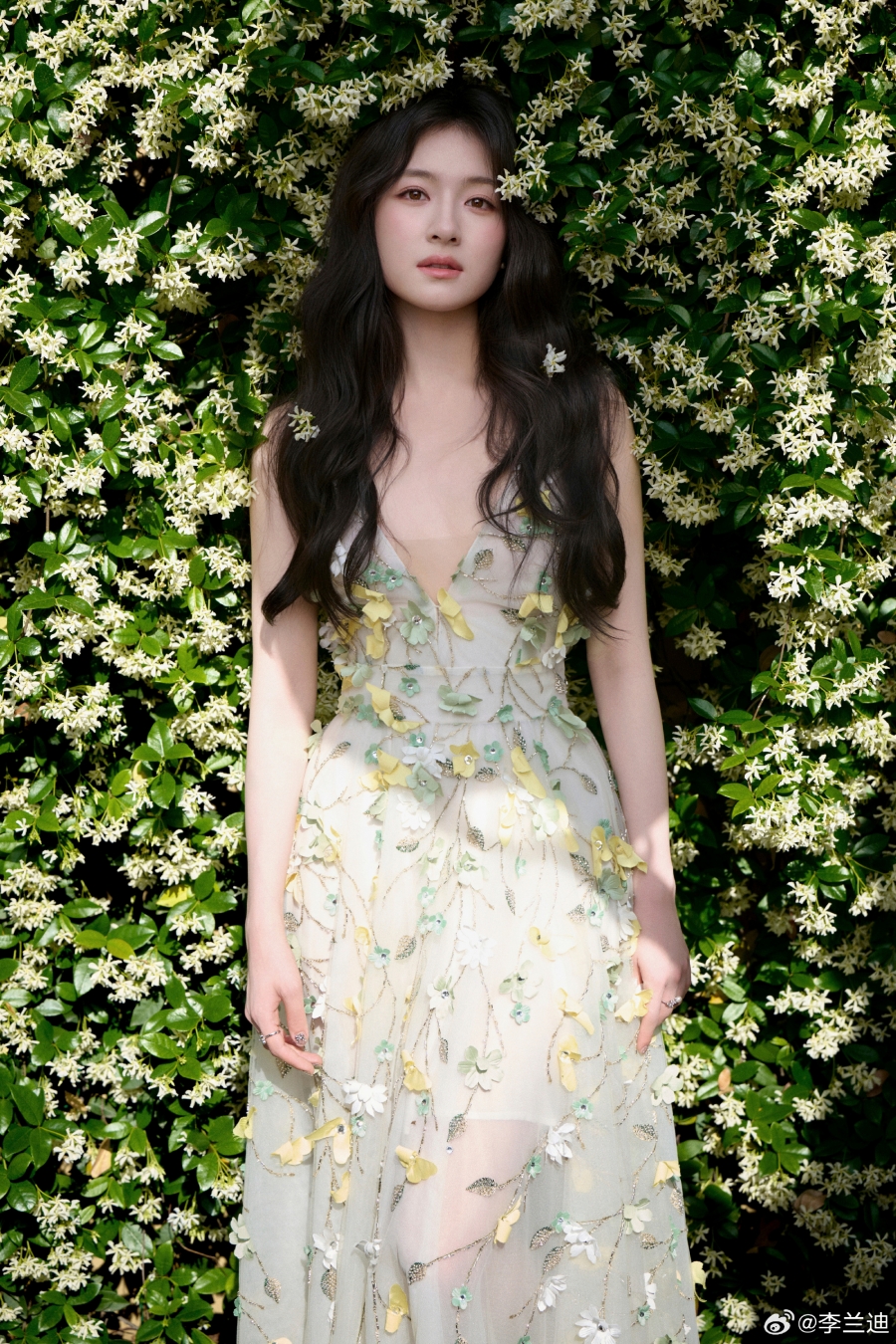 ประวัตินางเอกจีน หลี่หลานตี๋  Li Lan Di