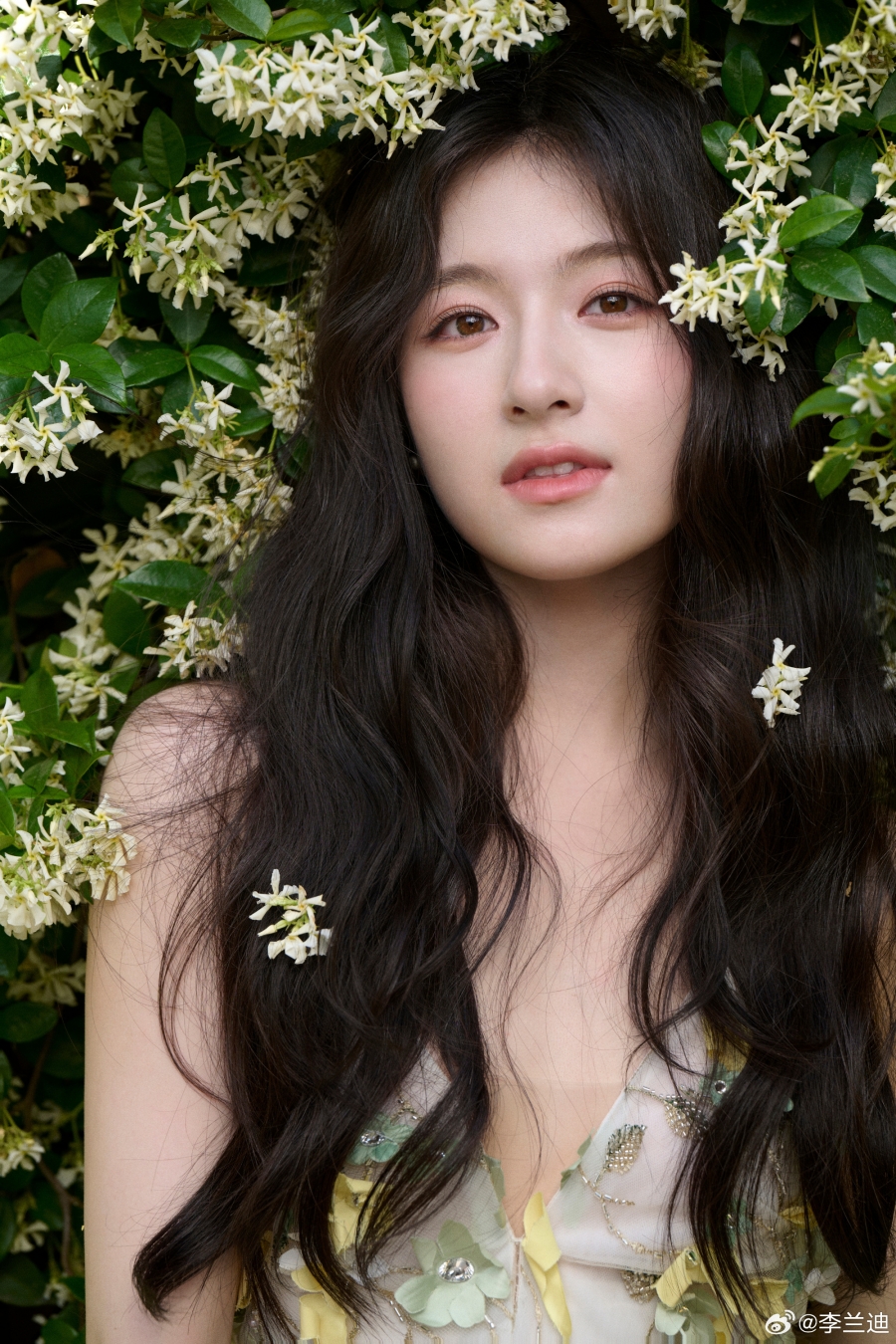 ประวัตินางเอกจีน หลี่หลานตี๋  Li Lan Di