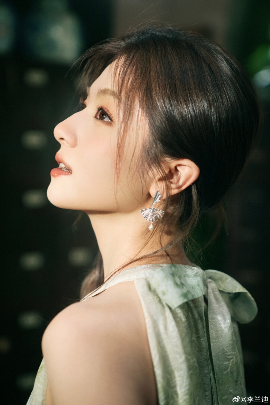 ประวัตินางเอกจีน หลี่หลานตี๋  Li Lan Di