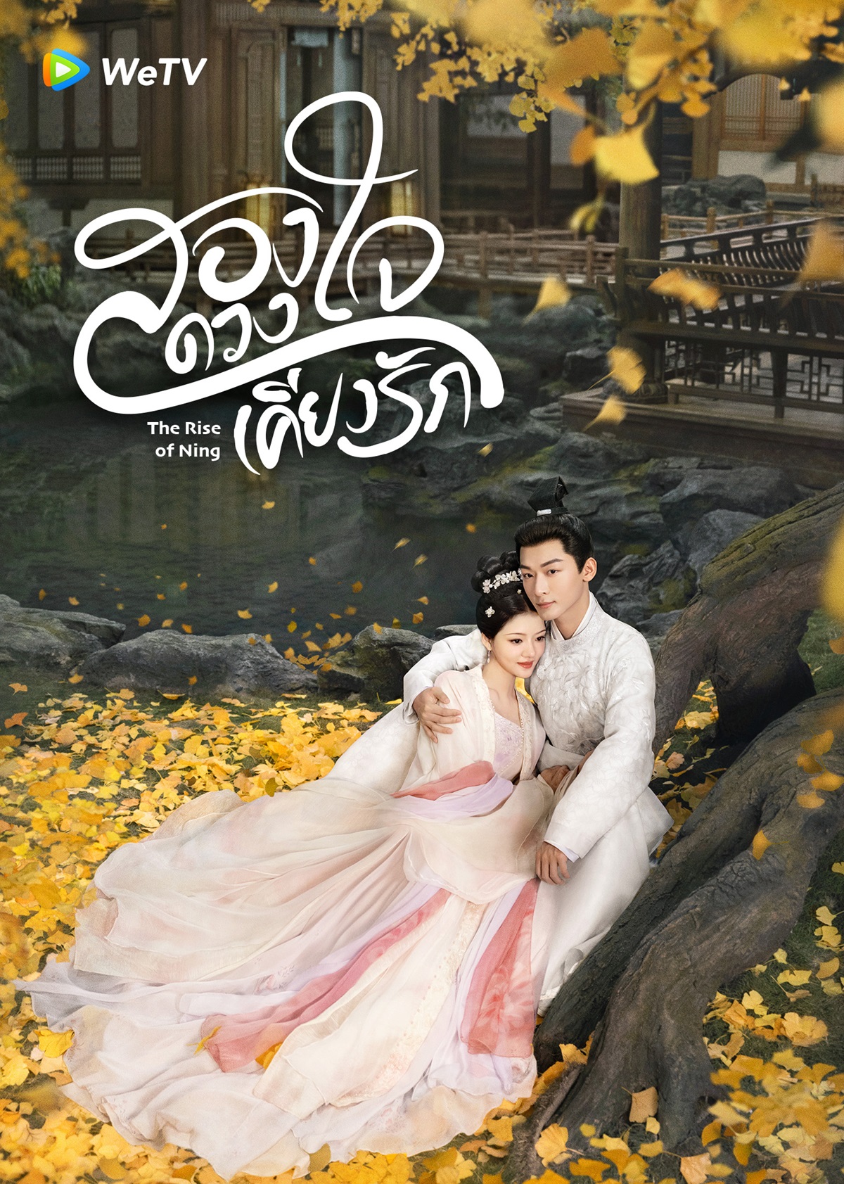 ซีรีส์จีน The Rise of Ning  สองดวงใจเคียงรัก เรื่องย่อ