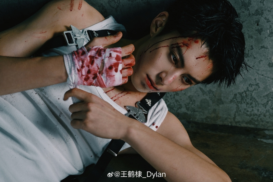 ประวัติดาราจีน หวังเฮ่อตี้ (Dylan Wang)