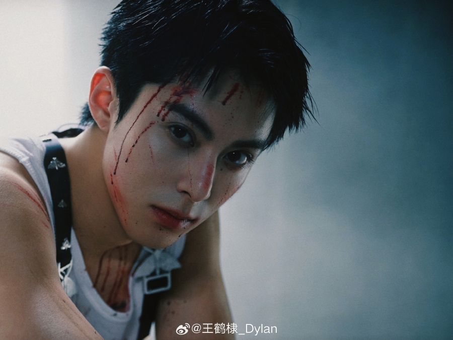 ประวัติดาราจีน หวังเฮ่อตี้ (Dylan Wang)