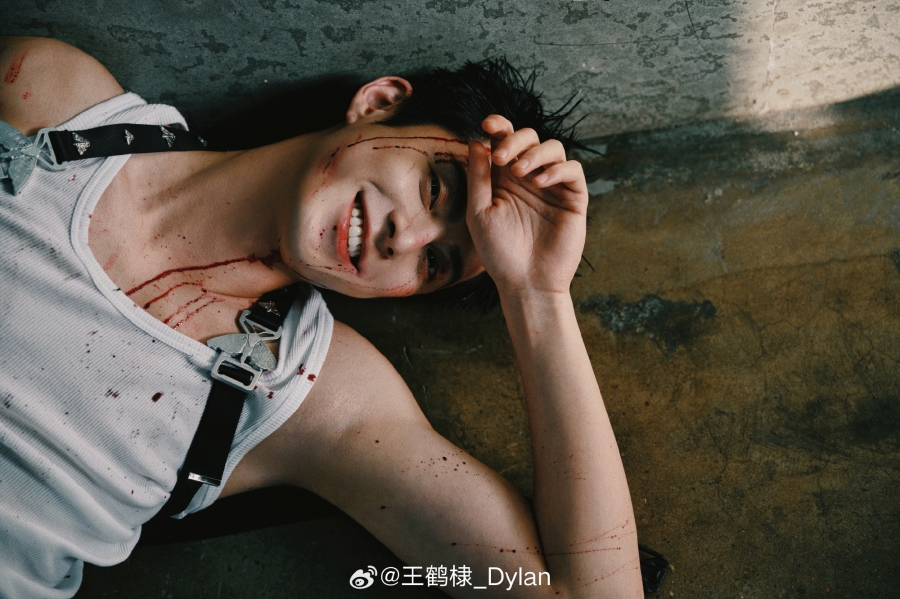 ประวัติดาราจีน หวังเฮ่อตี้ (Dylan Wang)