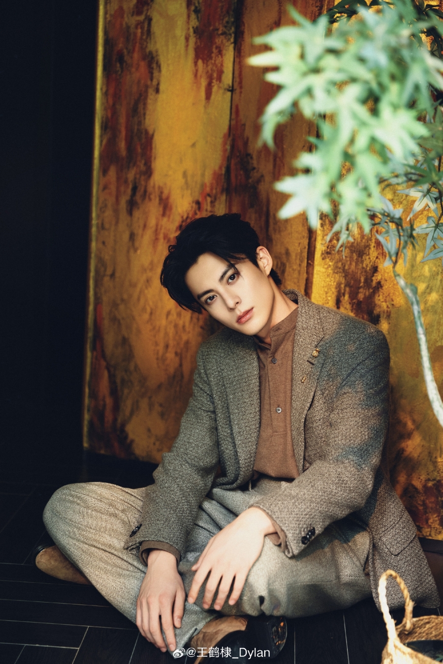 ประวัติดาราจีน หวังเฮ่อตี้ (Dylan Wang)