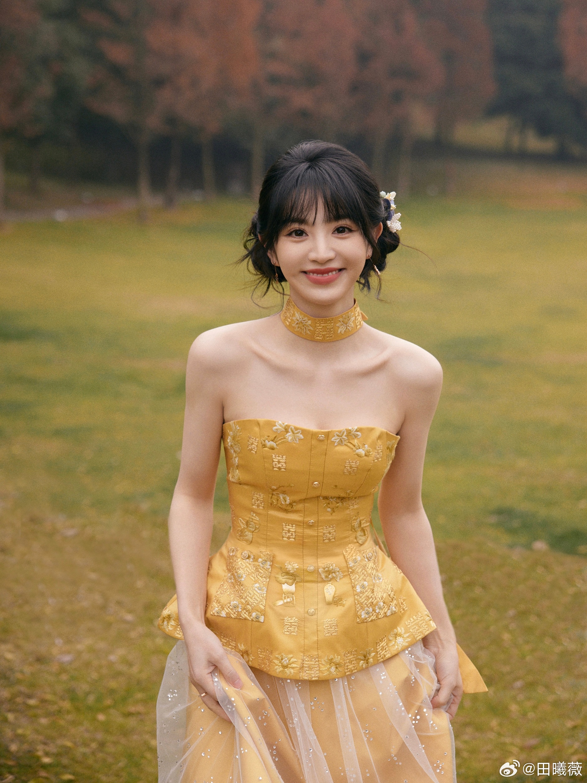 ประวัตินักแสดงจีน เถียนซีเวย tian xi wei