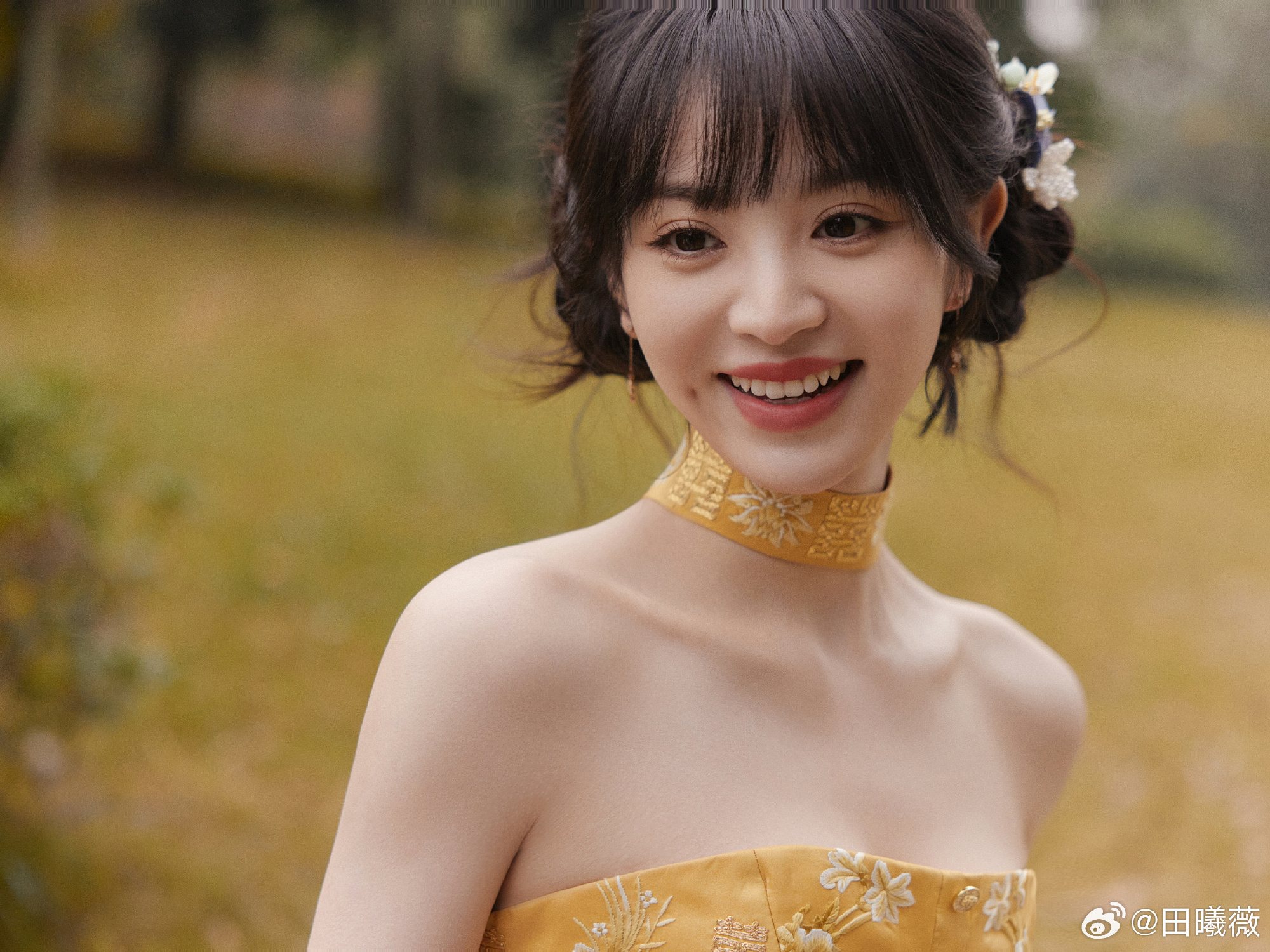 ประวัตินักแสดงจีน เถียนซีเวย tian xi wei