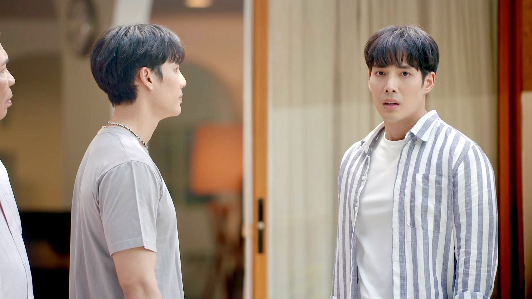 เรื่องย่อ เพลงพยัคฆ์ Twin Swap 