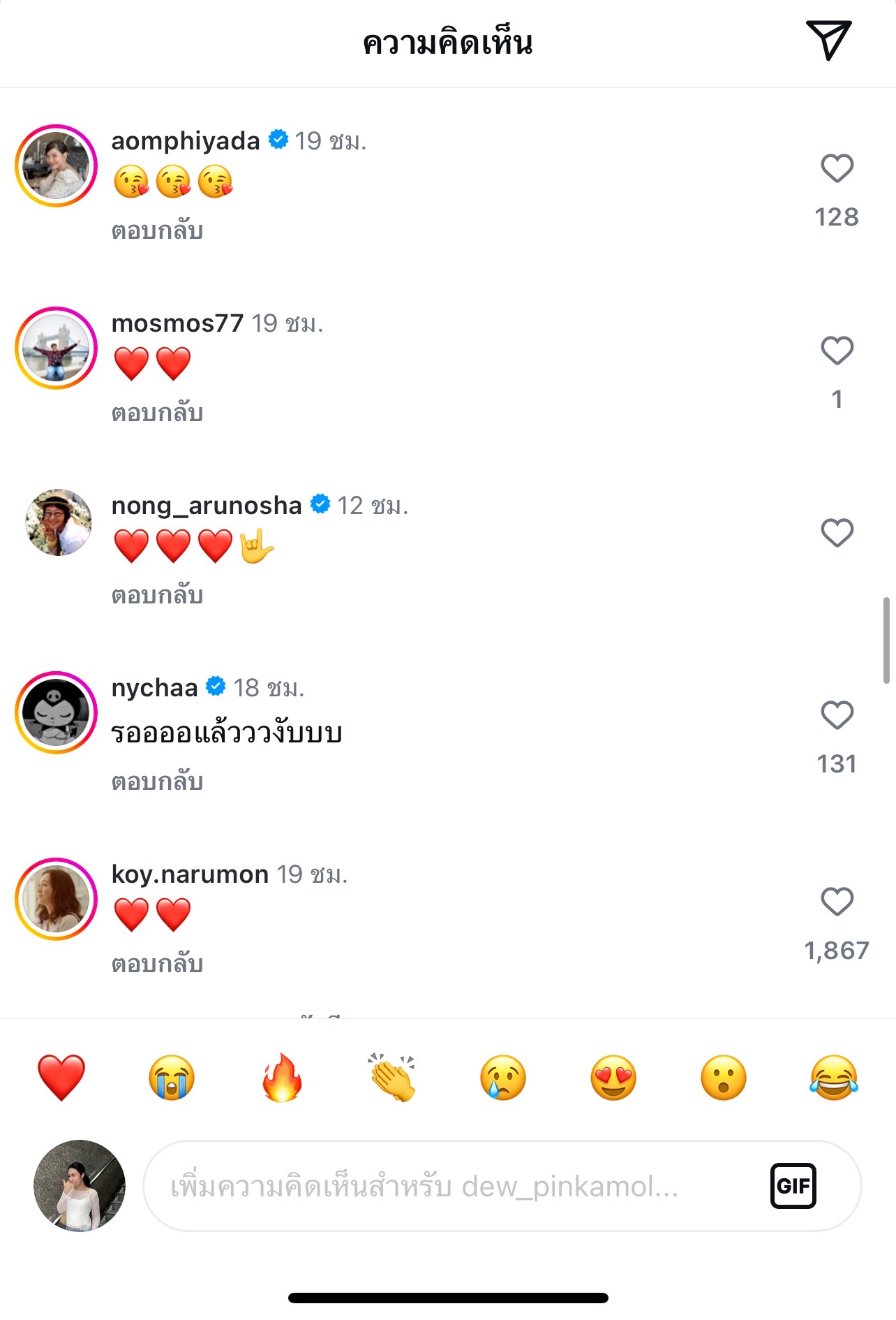 ดิว ปิ่นกมล โปรเจกต์ใหม่